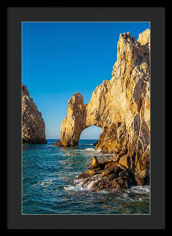 El Arco De Cabo San Lucas At Golden Hour