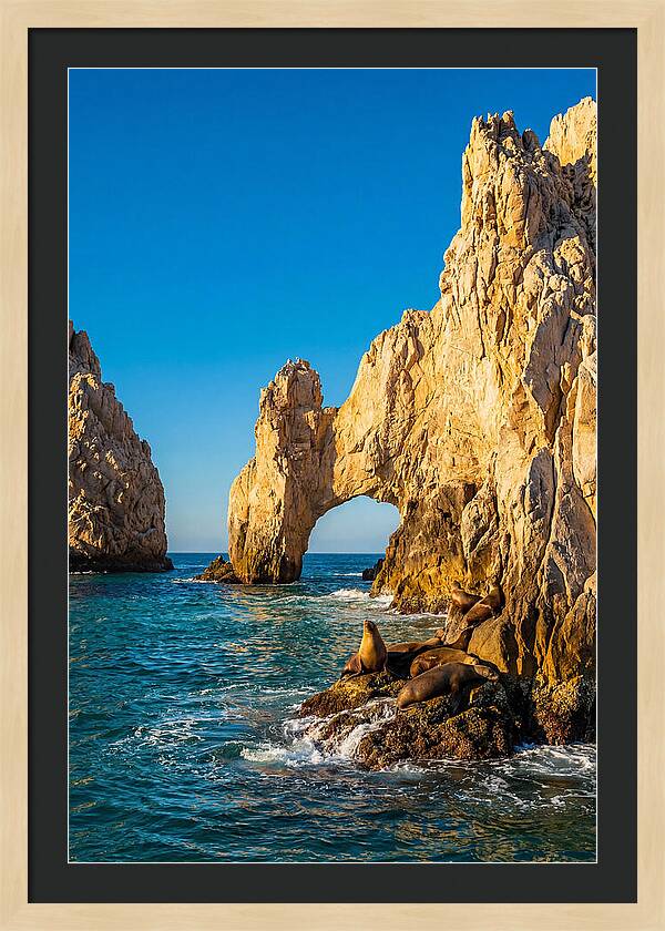 El Arco De Cabo San Lucas At Golden Hour