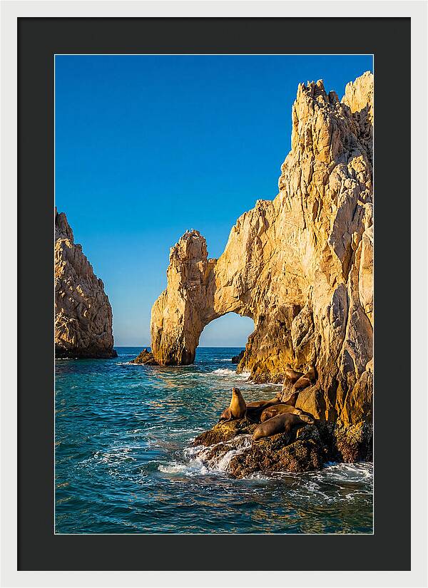 El Arco De Cabo San Lucas At Golden Hour