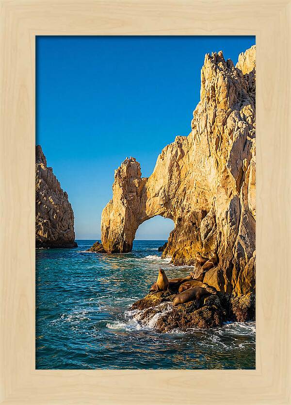El Arco De Cabo San Lucas At Golden Hour