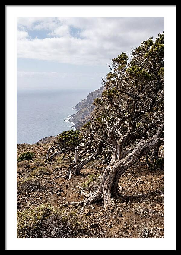 Coastal Cliff Art
