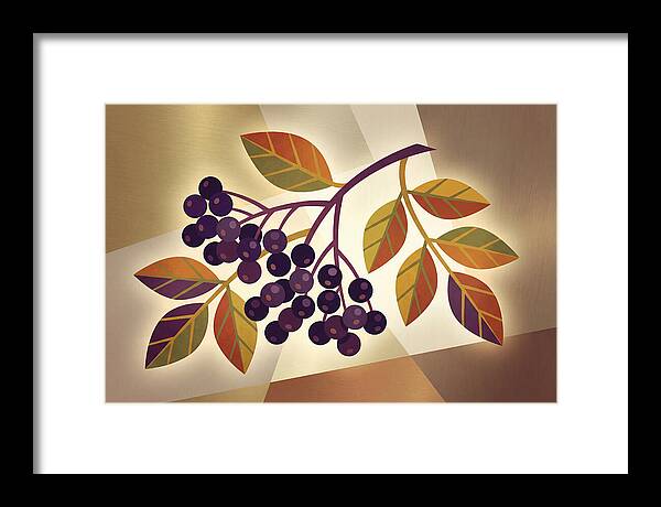 Elderberry Cluster Delight