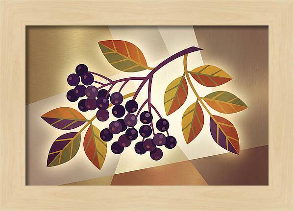 Elderberry Cluster Delight