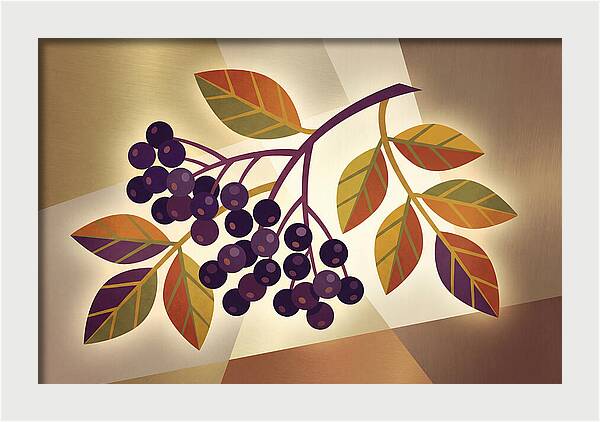 Elderberry Cluster Delight