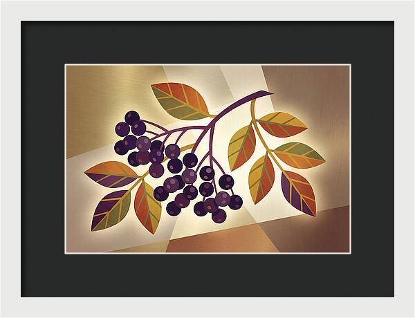Elderberry Cluster Delight