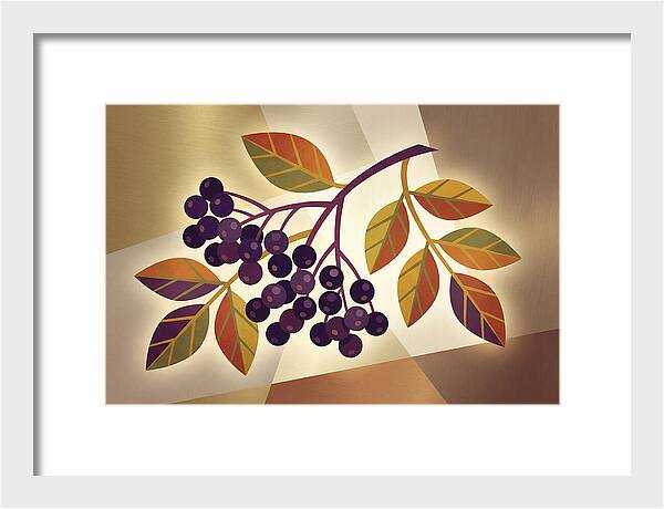Elderberry Cluster Delight