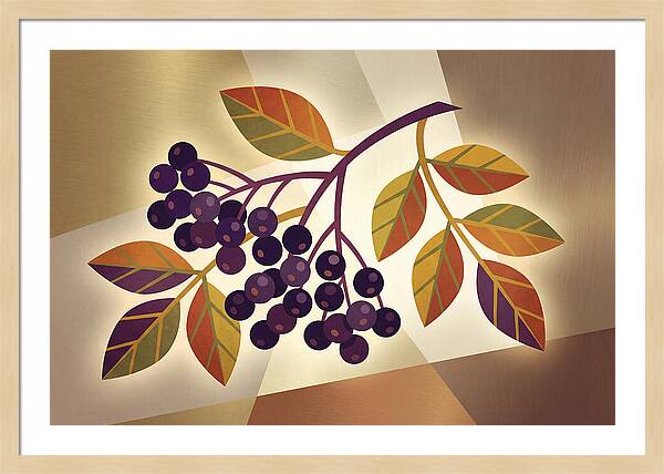 Elderberry Cluster Delight