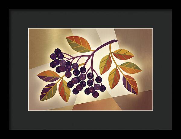 Elderberry Cluster Delight