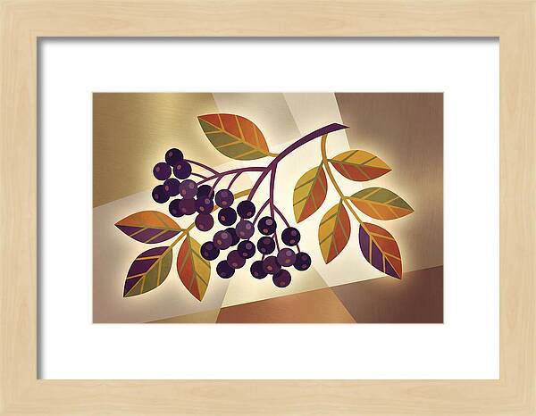 Elderberry Cluster Delight