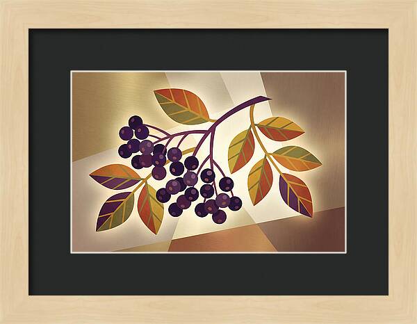 Elderberry Cluster Delight