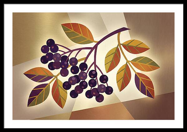 Elderberry Cluster Delight