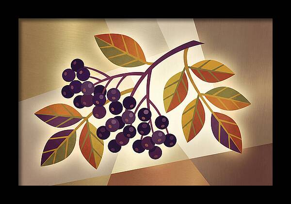 Elderberry Cluster Delight