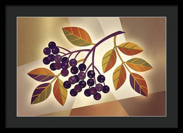 Elderberry Cluster Delight
