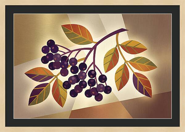 Elderberry Cluster Delight