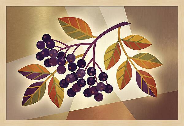 Elderberry Cluster Delight