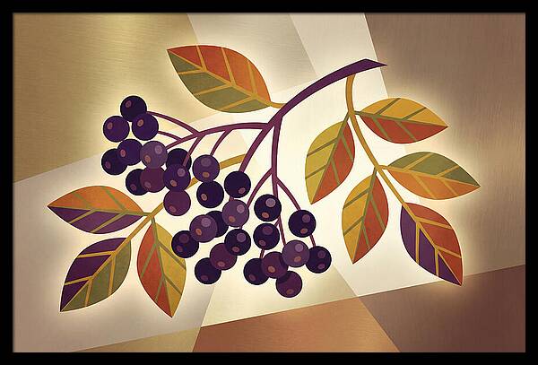 Elderberry Cluster Delight