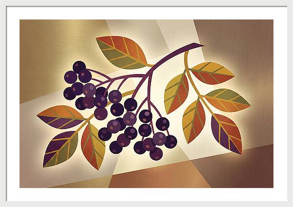 Elderberry Cluster Delight