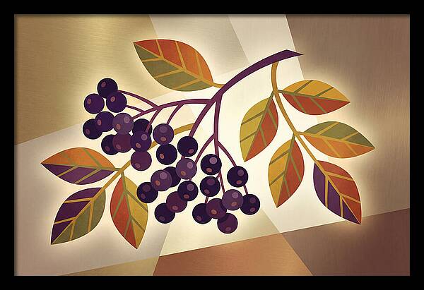 Elderberry Cluster Delight