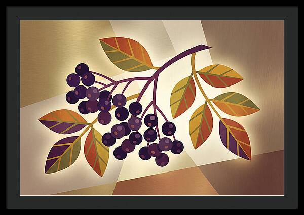 Elderberry Cluster Delight