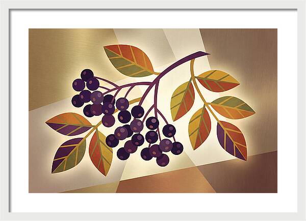 Elderberry Cluster Delight