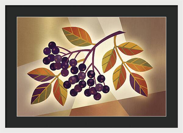 Elderberry Cluster Delight