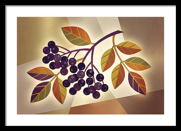 Elderberry Cluster Delight