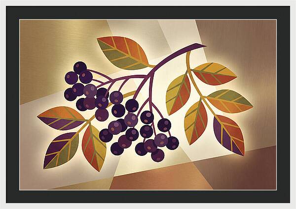 Elderberry Cluster Delight