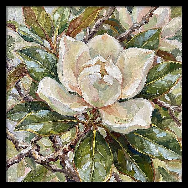 Elegance Of Magnolia Blooms