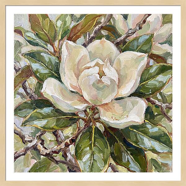 Elegance Of Magnolia Blooms