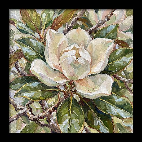 Elegance Of Magnolia Blooms