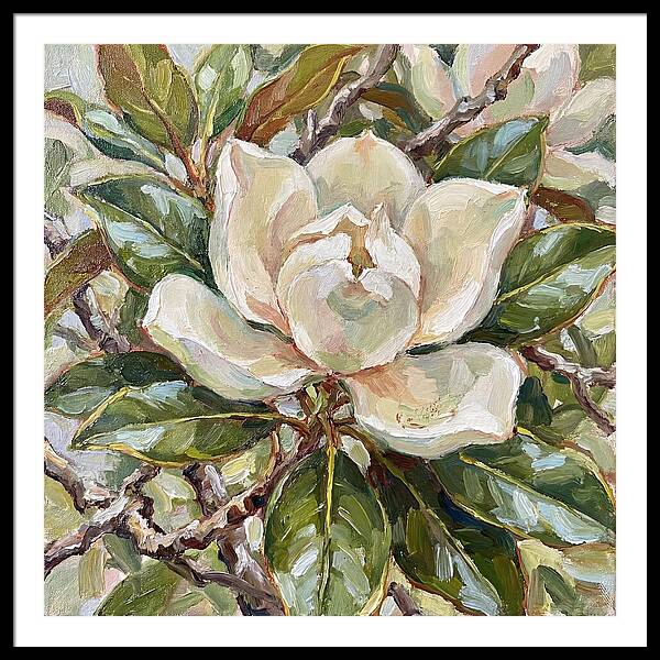 Elegance Of Magnolia Blooms
