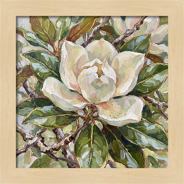 Elegance Of Magnolia Blooms