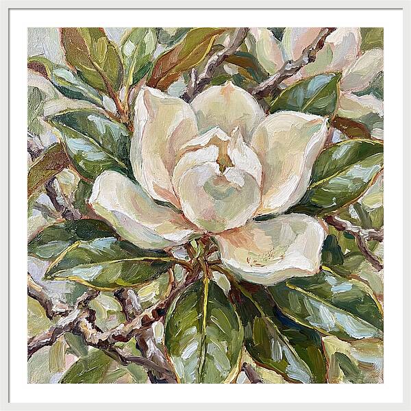 Elegance Of Magnolia Blooms