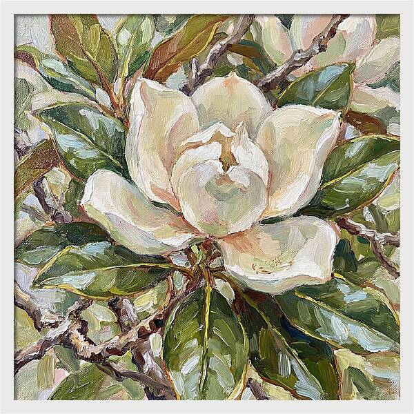 Elegance Of Magnolia Blooms