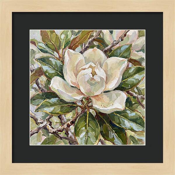 Elegance Of Magnolia Blooms
