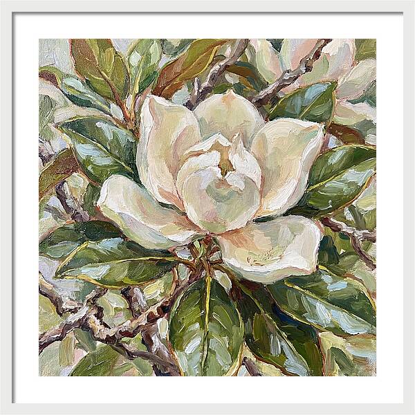 Elegance Of Magnolia Blooms
