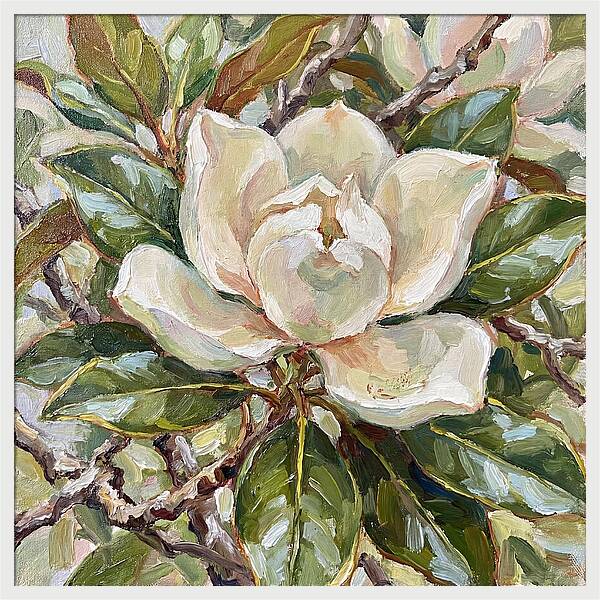 Elegance Of Magnolia Blooms
