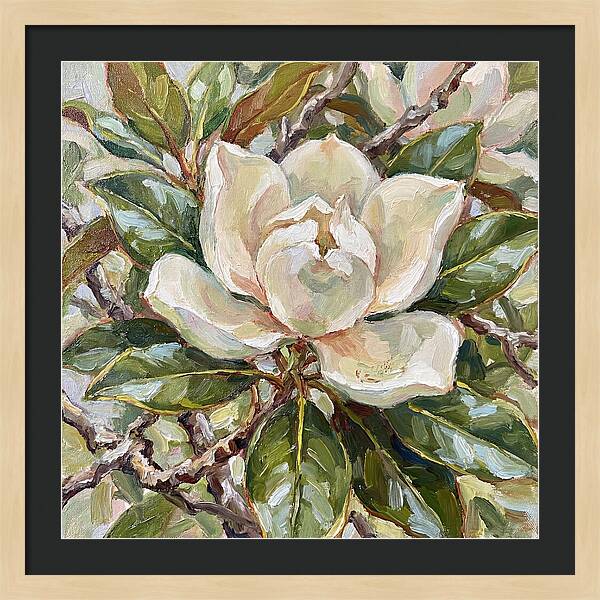 Elegance Of Magnolia Blooms