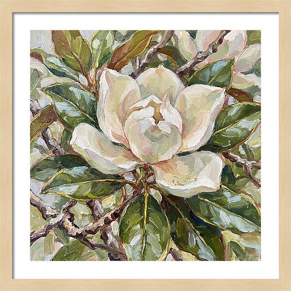 Elegance Of Magnolia Blooms