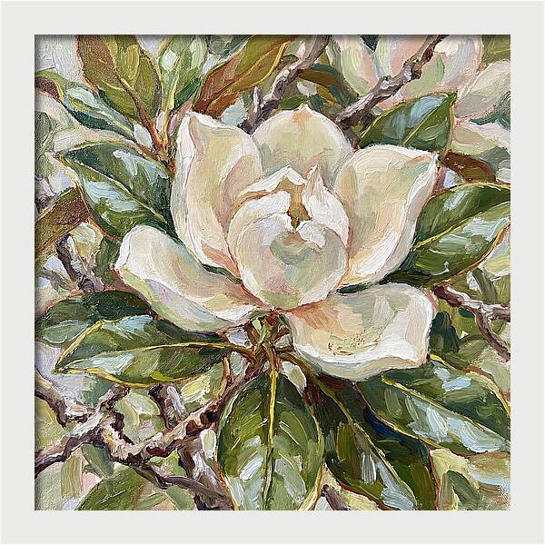 Elegance Of Magnolia Blooms