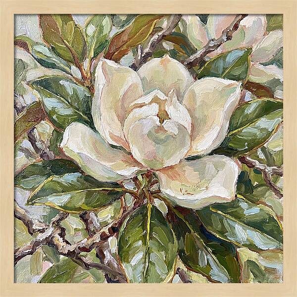 Elegance Of Magnolia Blooms