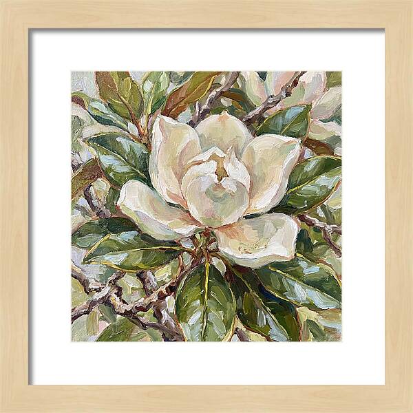 Elegance Of Magnolia Blooms