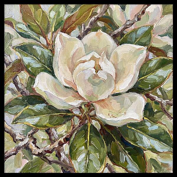 Elegance Of Magnolia Blooms