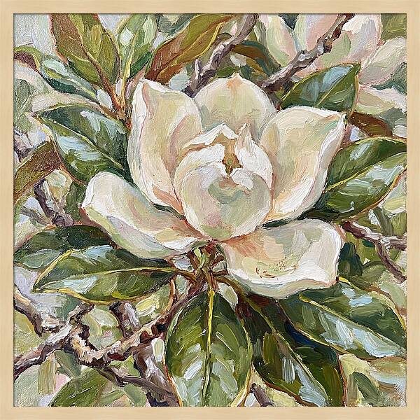 Elegance Of Magnolia Blooms