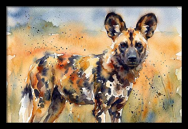 Elegant African Canine
