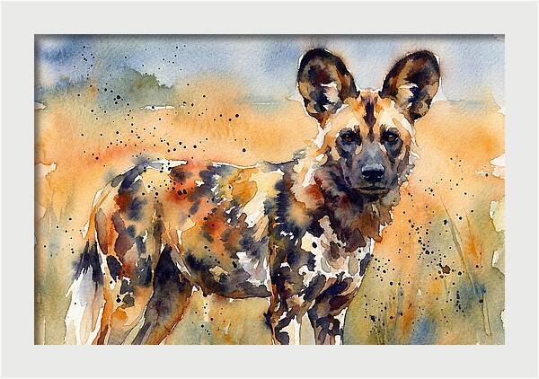 Elegant African Canine