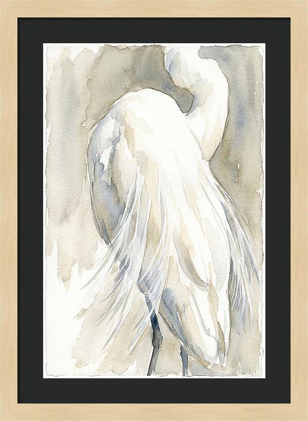 Elegant Egret In Watercolor