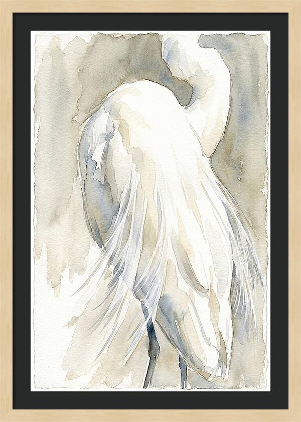 Elegant Egret In Watercolor
