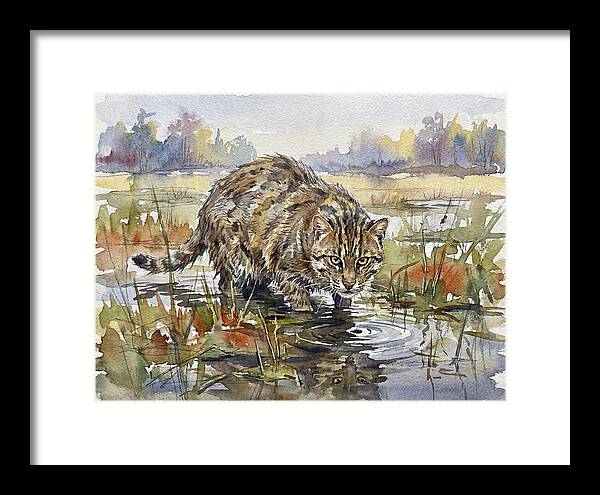 Elegant Fishing Cat In Action