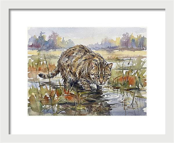 Elegant Fishing Cat In Action